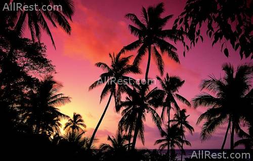 Vatulele Island Resort 38